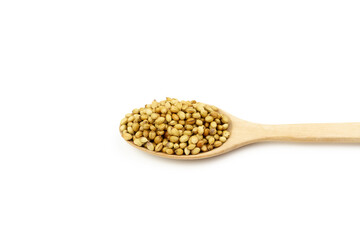 Coriander seeds on wooden spoon isolated on white background. Coriander seeds are a food ingredient and medicinal herbs. 