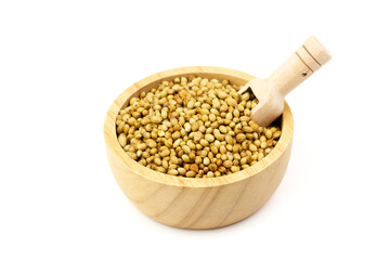 Coriander seeds on wooden bowl with scoop isolated on white background. Coriander seeds are a food ingredient and medicinal herbs.