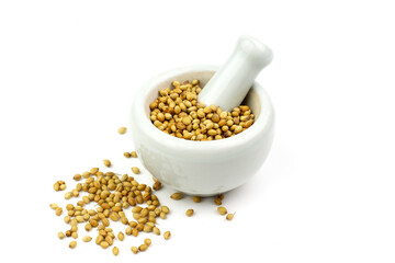 Coriander seeds on white mortar and pestle isolated on white background. Coriander seeds are a food ingredient and medicinal herbs.