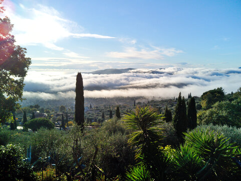 Sea of clouds in French Mountains