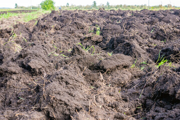Spring plowed land. Spring rural landscape. Freshly plowed land. Arable land. Sowing work on the farm.