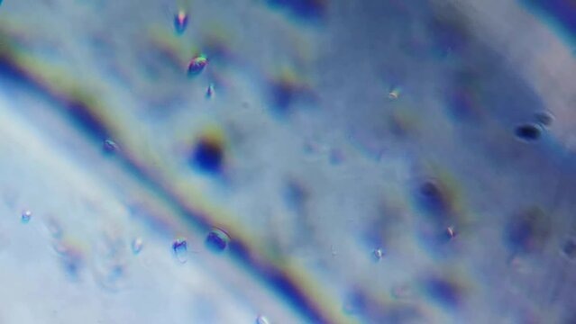 Microscope magnification close up bacteria micro organism virus biohazard