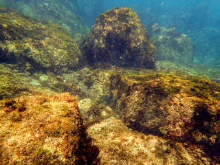fondale marino acquegrandi di Acireale 319