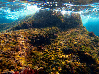 Fondale marino acquegrandi di Acireale 400