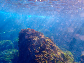 Fondale marino acquegrandi di Acireale 403