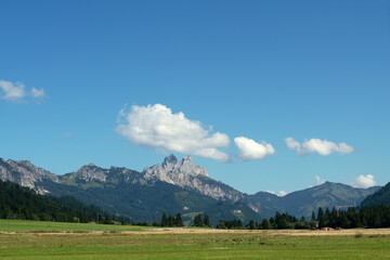 Fototapeta na wymiar Blick auf den Aggenstein im Tannheimer Tal
