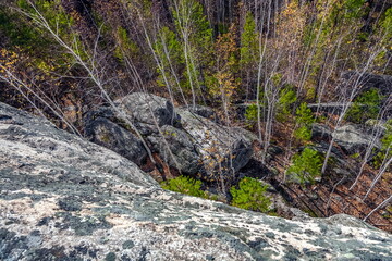 Autumn landscape with trees and rocks on top of a mountain against a background of trees