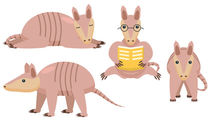 Set Abstract Collection Flat Cartoon Different Animal Honey Armadillo Stand, Sleeping, Reading A Book Vector Design Style Elements Fauna Wildlife