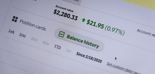 portfolio balance on the screen