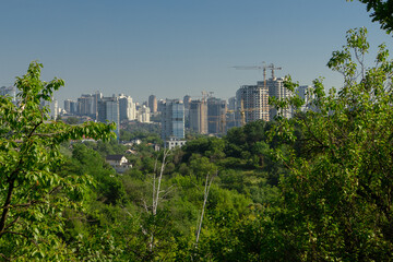 Fototapeta premium City next to the forest. Construction of residential buildings near the forest