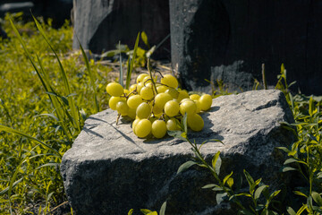 A bunch of green grapes lies on a stone. Ritual fruit offerings according to pagan traditions