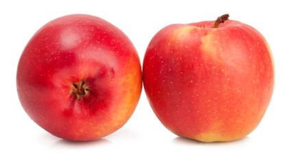 apples on a white background