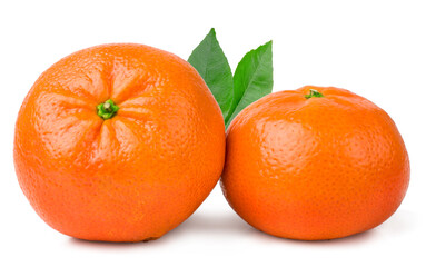 Tangerines isolated on a white background.