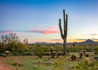 Sunset at Apache Wash Trailhead in Arizona