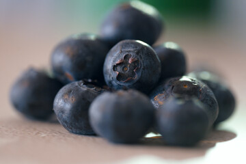 blueberries on a white background