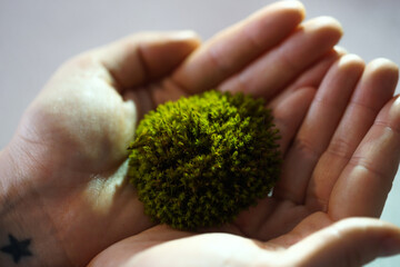 hands holding a ball of moss