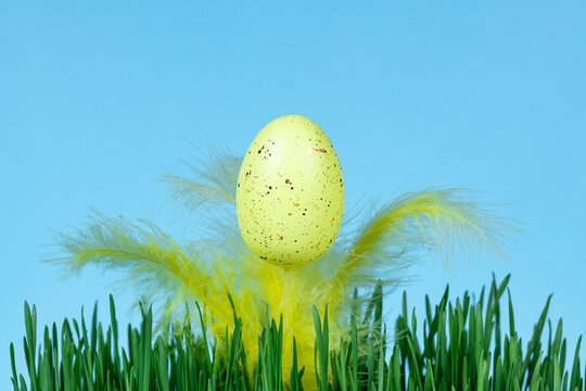Yellow decorative Easter egg with feathers in green grass on a blue background. Easter concept