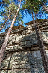 Autumn landscape with trees and rocks on top of a mountain against the sky
