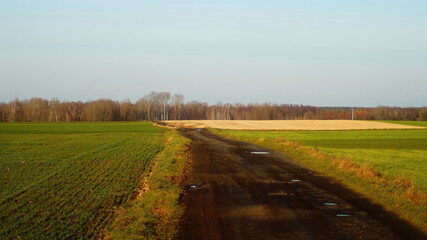 landscape with a field