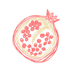 Pomegranate fruit. Hand drawn vector illustration. Pen or marker doodle sketch