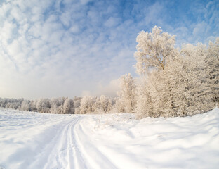 Obraz premium Winter landscape in the country on a cold sunny day