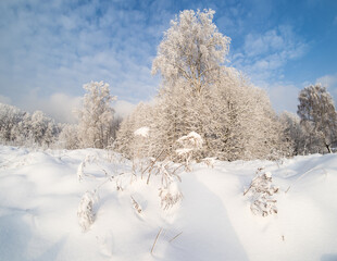 Winter landscape in the country on a cold sunny day

