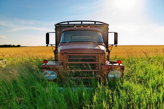 Abandoned Vintage and Rusty Truck in a Field on a Sunny Day