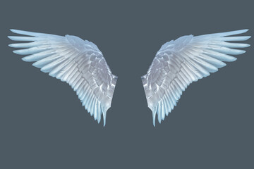 white angel wings, isolate on a gray background for the designer, the concept of take-off, soar in dreams, mocap insert a person into the picture