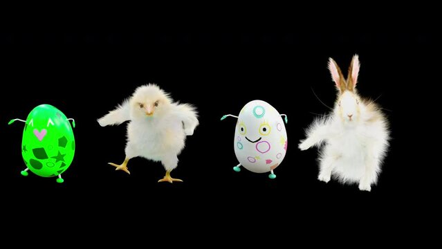 Easter Day, Happy Easter, eggs Dancing, chick and rabbit, 3d rendering, Animation Loop composition 3d mapping cartoon, included in the end of the clip with Alpha matte.