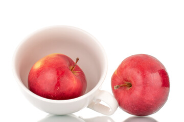 Two juicy, ripe, red apples with a white ceramic cup, macro, isolated on a white background.
