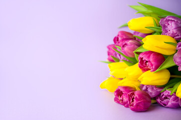 Bunch of yellow,purple and pink tulips on light purple background.Easter,mother's day,women's day,8 march concept