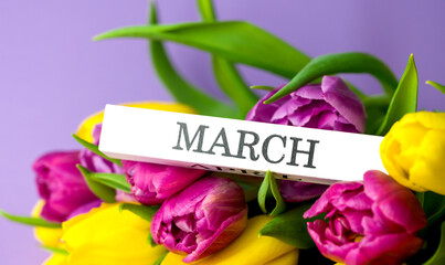 Spring banner with a bunch of colorful tulips with march word on wooden block.8 march concept, international women day