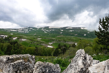 A forest standing by the rocks, overlooking the Alpine meadows. The Lago-Naki plateau in Adygea. Russia. 2021