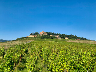The ancien castle of Montmelas 
surrounded by vineyards.  Saint-Sorlin. Rhone, Auvergne-rhone-Alps