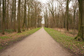Fototapeta premium A road through a public park in autumn
