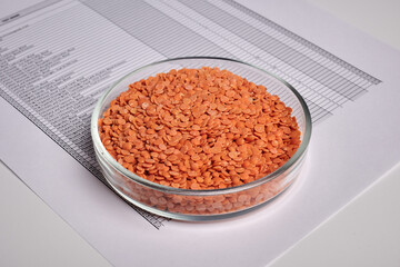 Toxic paper report for red lentils in petri dish. Toxicology test for food safety of red lentil grain. Food control of organic red lentil seeds. Paper report page of poison and GMO nutrients analysis.
