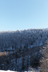 A winter in the basque country