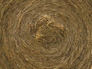 Bale of straw, close up