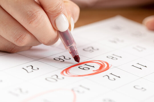 close up on employee woman hand using red pen to writing schedule on 19 day calendar 2022 to make an appointment meeting or manage timetable each day at house for work from home concept
