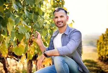 Young caucasian vintner checking the grapes  on the vineyard before harvesting and smiling into the...