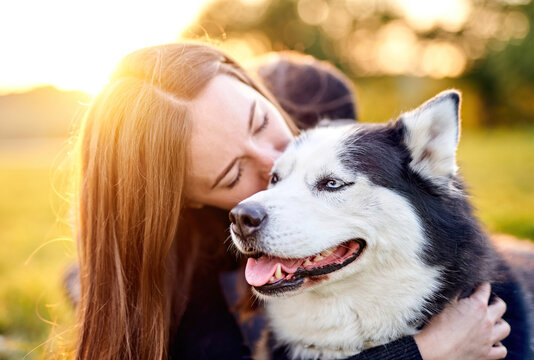 Siberian husky playing in grass outdoors with the owner girl together - Human and dog friendship and loyalty concept outside on a countryside field