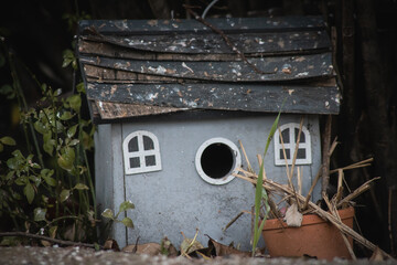 Nature Birds Wildlife