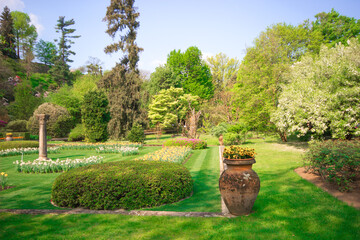 Colorful and beautiful spring flowers blooming on a garden in natural summer or spring background.
