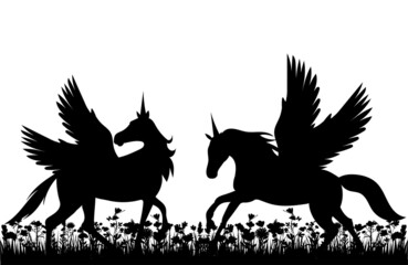 pegasus on the grass black silhouette, isolated