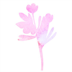 flower, plant pink watercolor silhouette, isolated vector