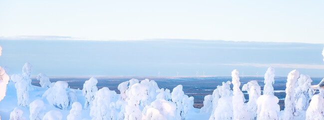 Winter landscape of a frosty morning in Lapland. Snow-covered forest, trees covered with snow and deep snow with snowdrifts.