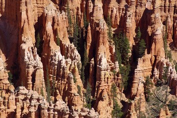 Hoodoo formations in southern Utah