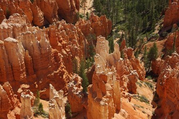 Orange hoodoo formations in southern Utah