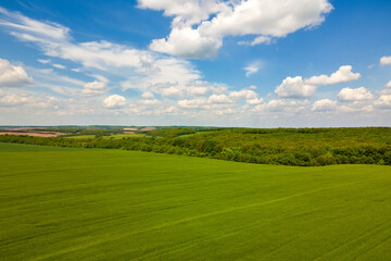 Aerial landscape view of green cultivated agricultural fields with growing crops on bright summer day