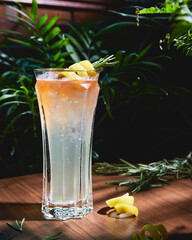 cold alcohol cocktail long drink with lemon and rosemary